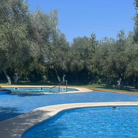 Apartamento A 8Km Sevilla Centro Valencina de la Concepción Exteriér fotografie